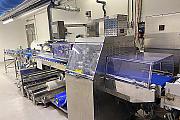 Bag-Forming-Filling-and-Sealing-Machine-Fuji-FW3710-BS-Ba7 used